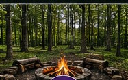 Outdoor fire pit with firewood