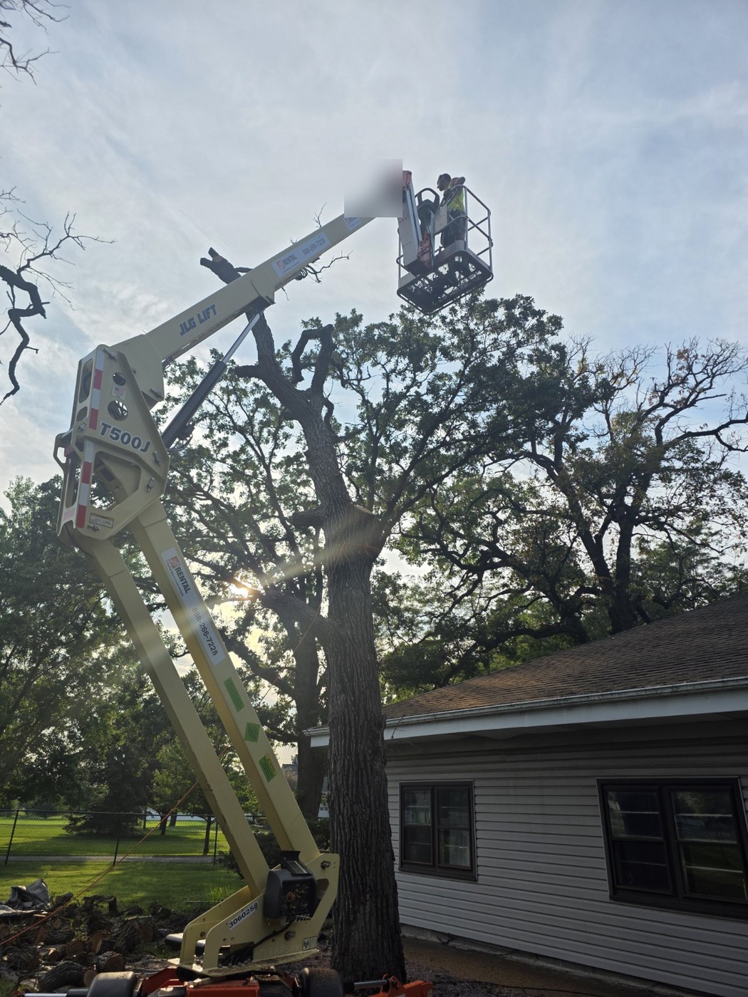 Saw Boss bucket tree work