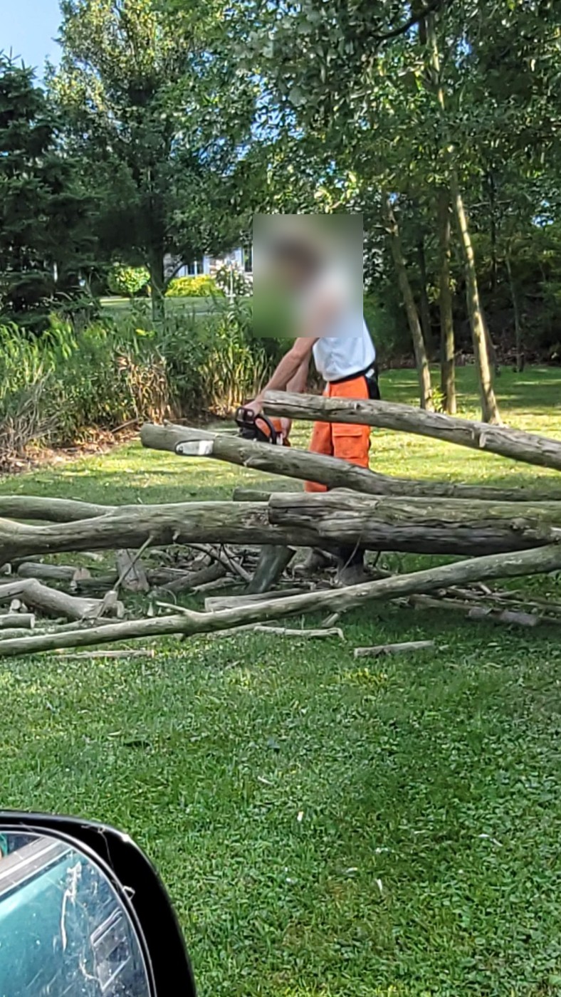 Ground crew chainsaw work