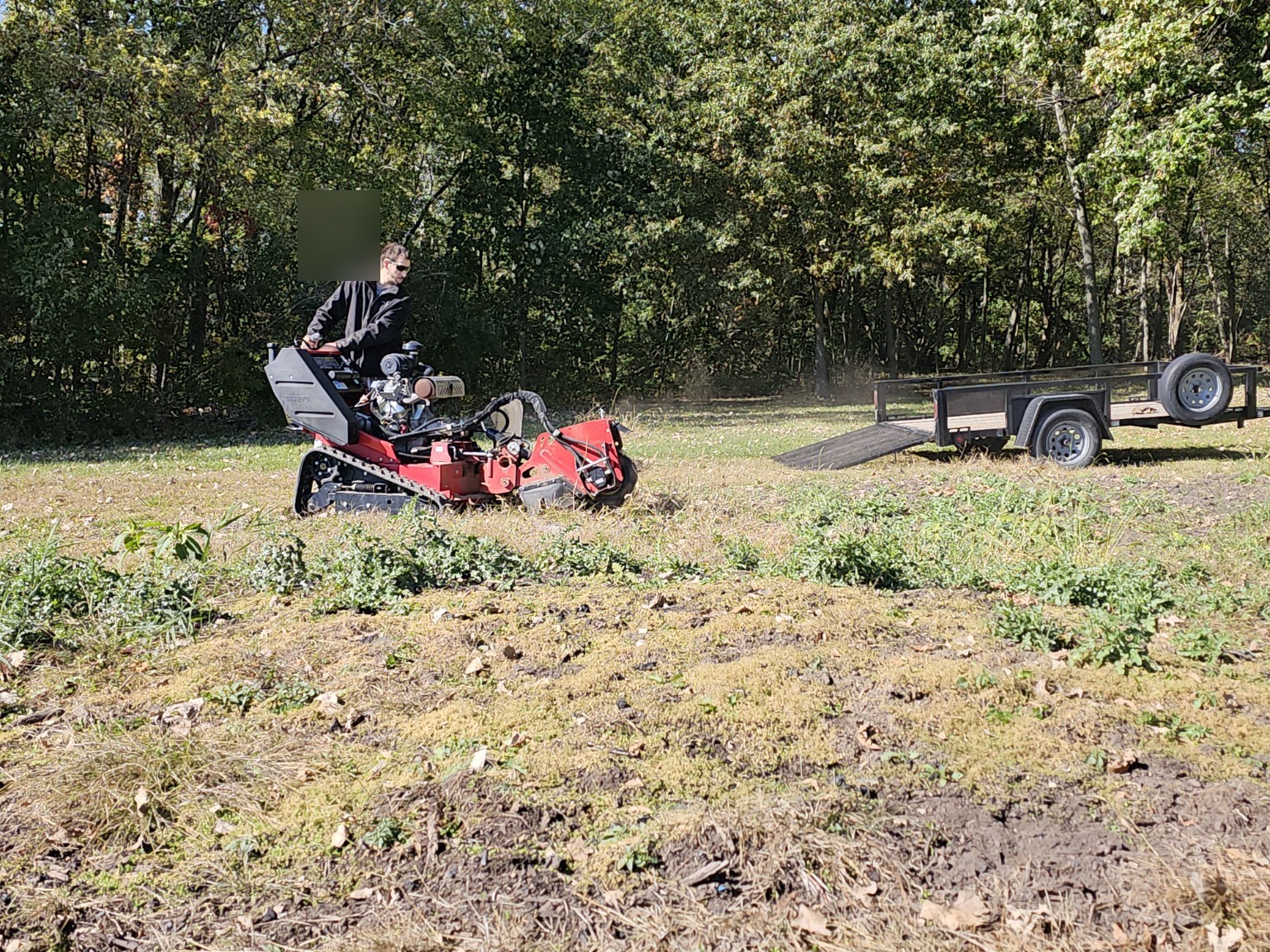 Saw Boss stump grinding