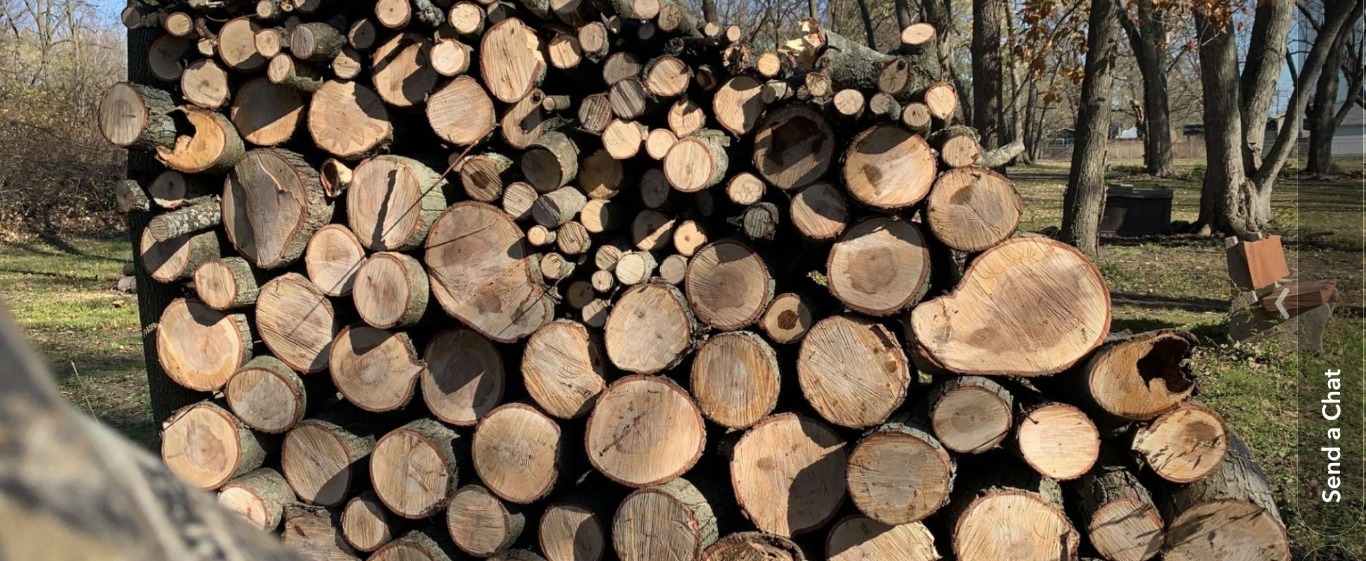 Saw Boss wood pile